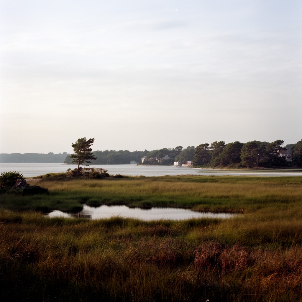 AI-generated illustration of Poucha Pond