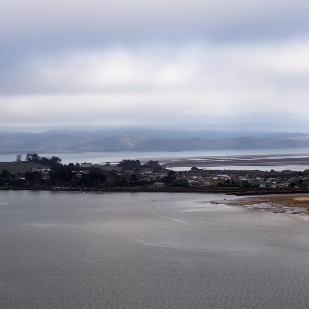 AI-generated illustration of San Pablo Bay