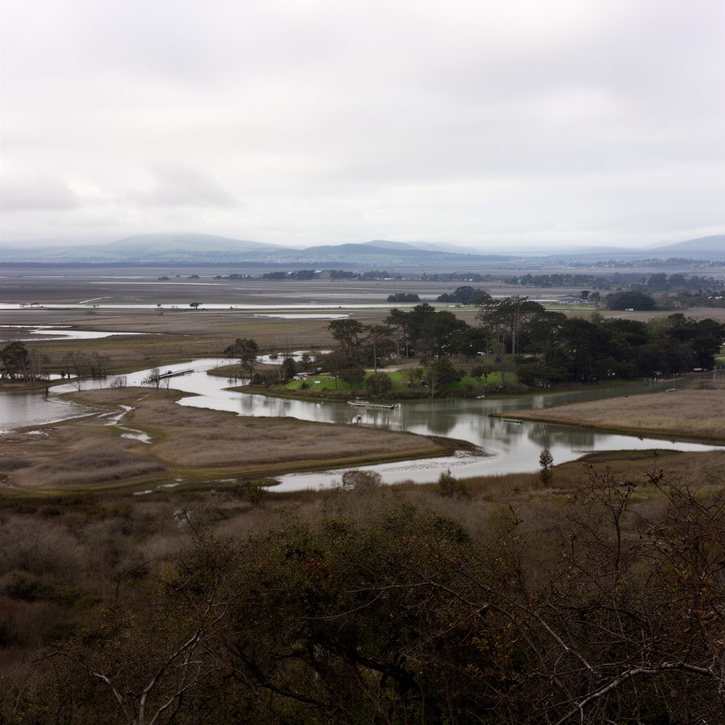 AI-generated illustration of Suisun Bay