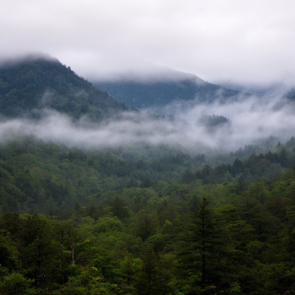 AI-generated illustration of Great Smoky Mountains National Park