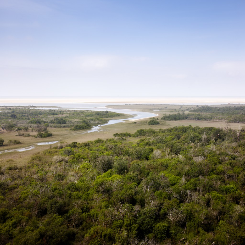 AI-generated illustration of Atlantic coastal plain