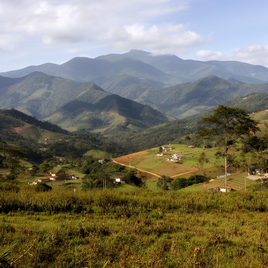 AI-generated illustration of Tolima Department