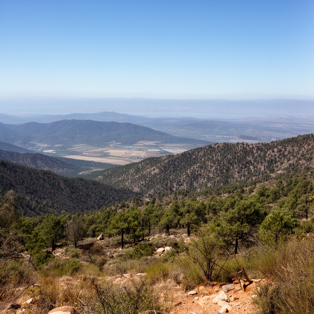 AI-generated illustration of Sierra de Juárez