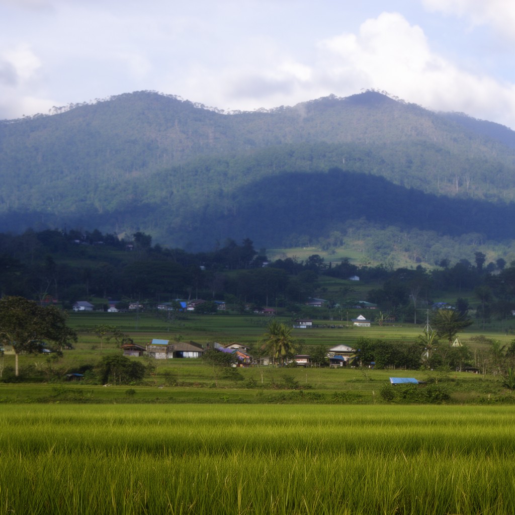 AI-generated illustration of Perlis