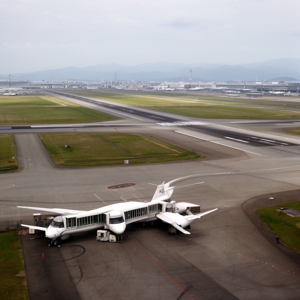 AI-generated illustration of Runway 06L/24R