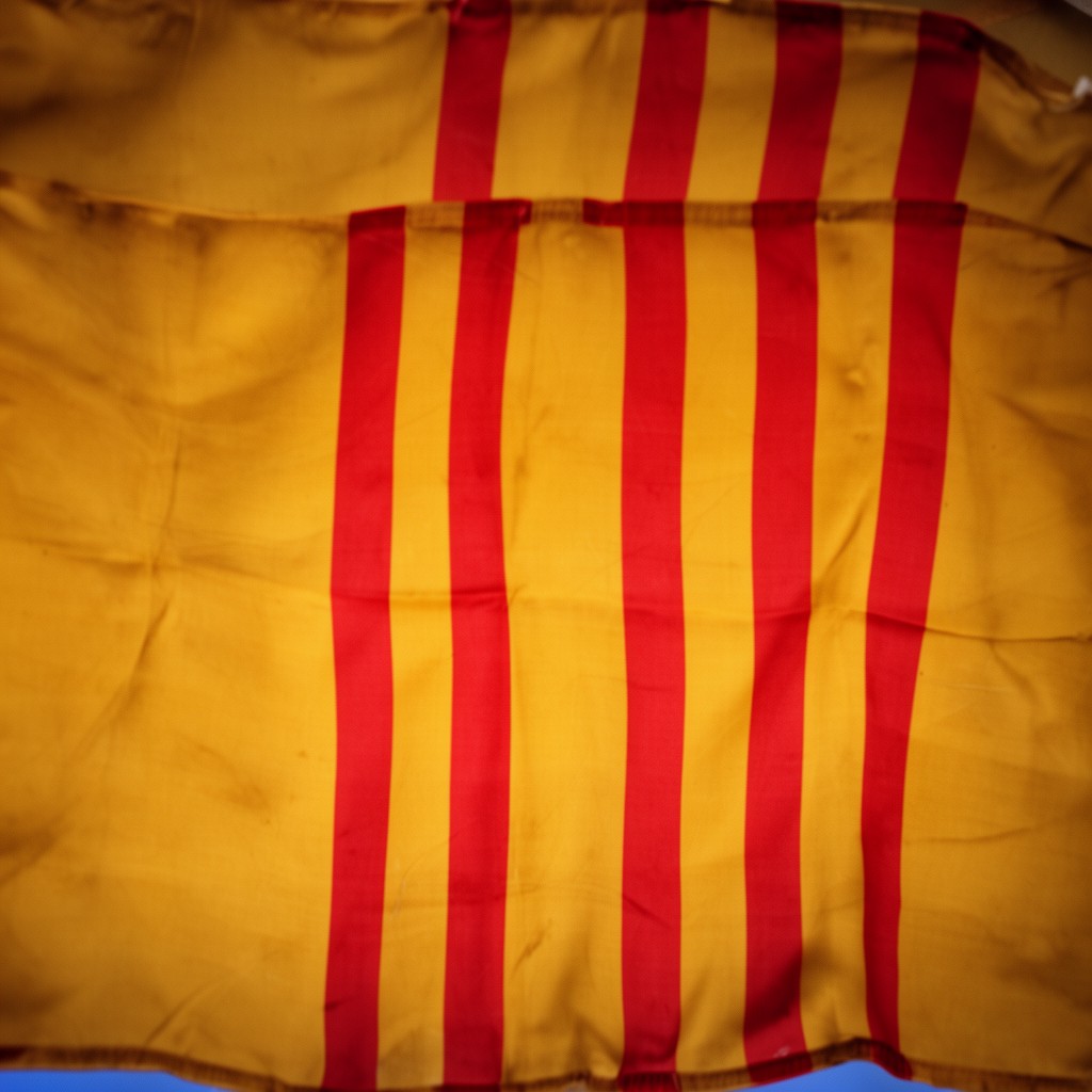 AI-generated illustration of Senyera