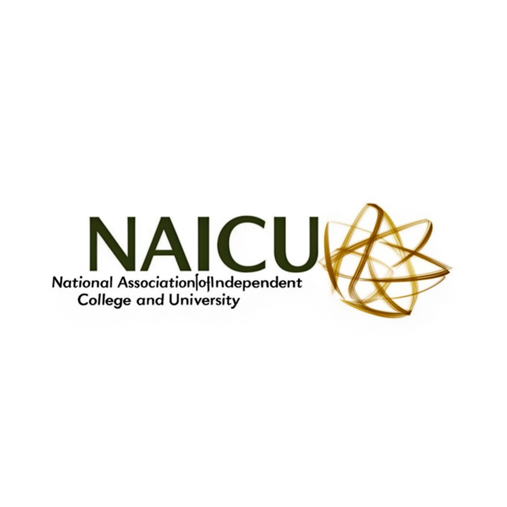 AI-generated illustration of NAICU