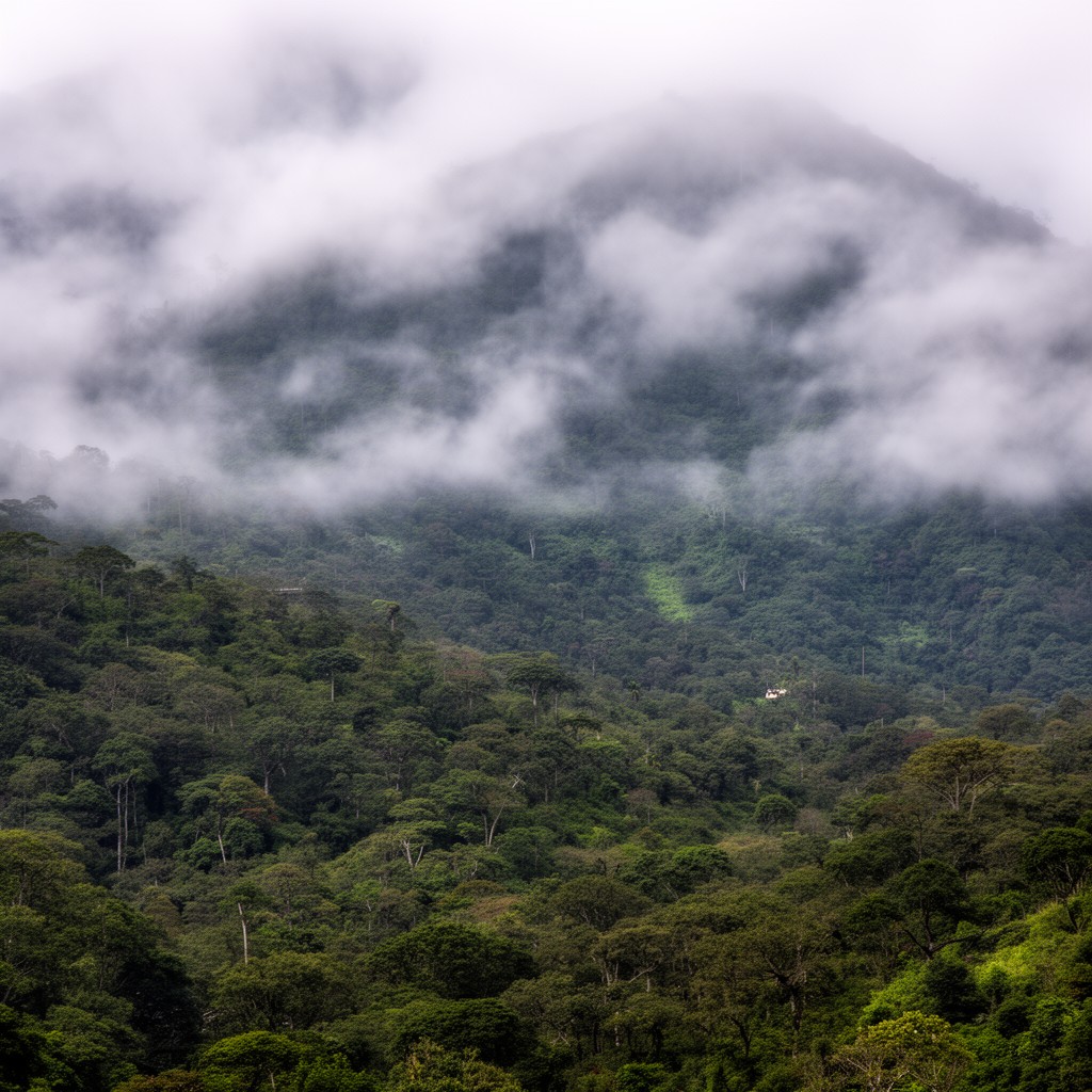 AI-generated illustration of Sierra de Manantlán Biosphere Reserve