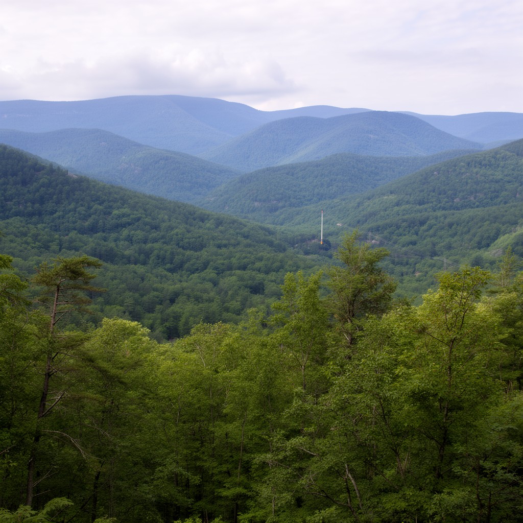 AI-generated illustration of Catskill Park