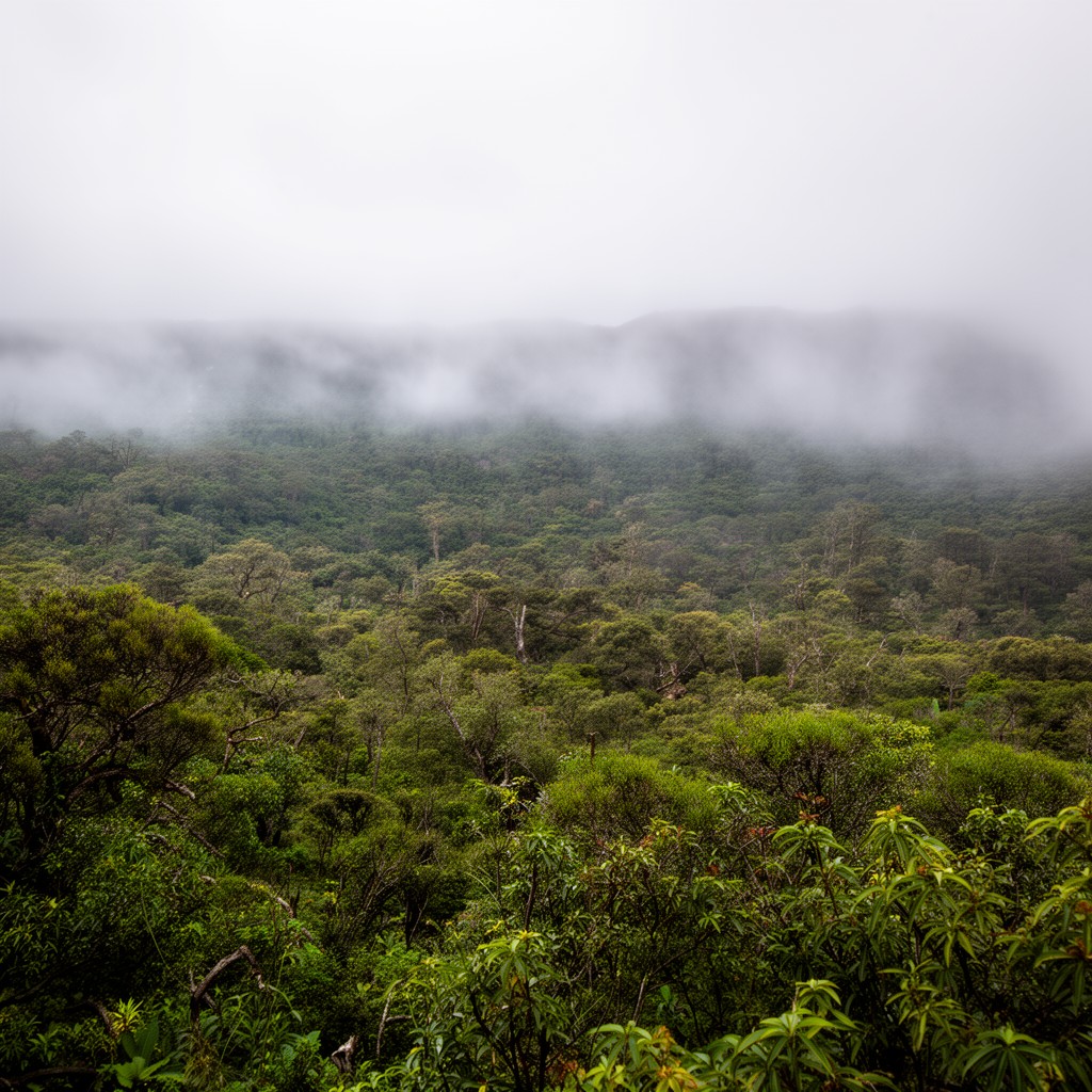 AI-generated illustration of Green Mountain cloud forest