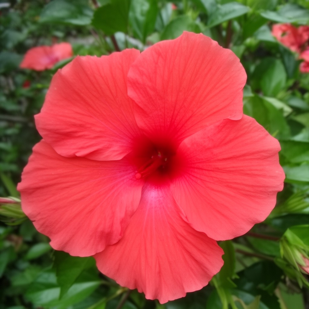 AI-generated illustration of Hibiscus rosa-sinensis