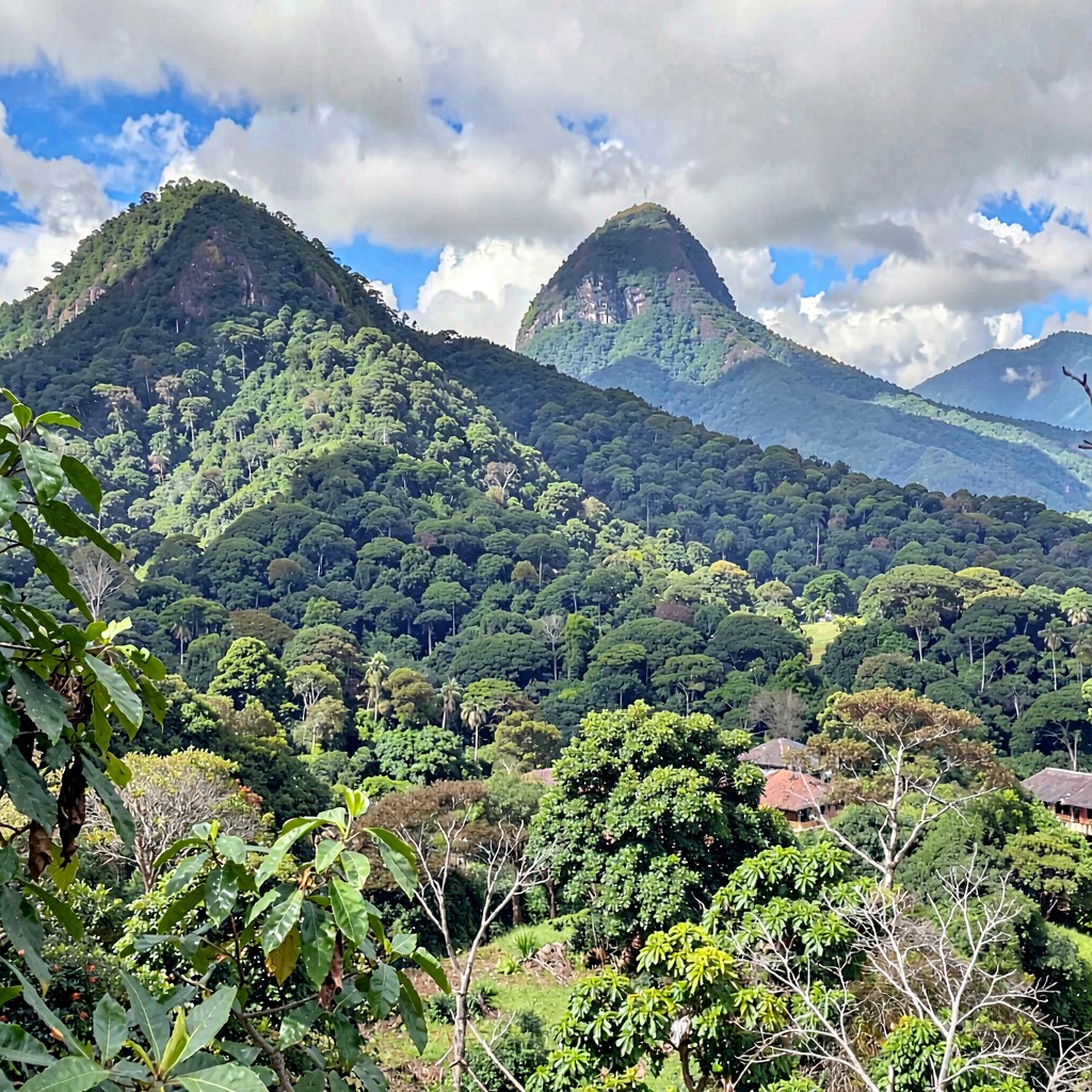 AI-generated illustration of Serranía de Majé region