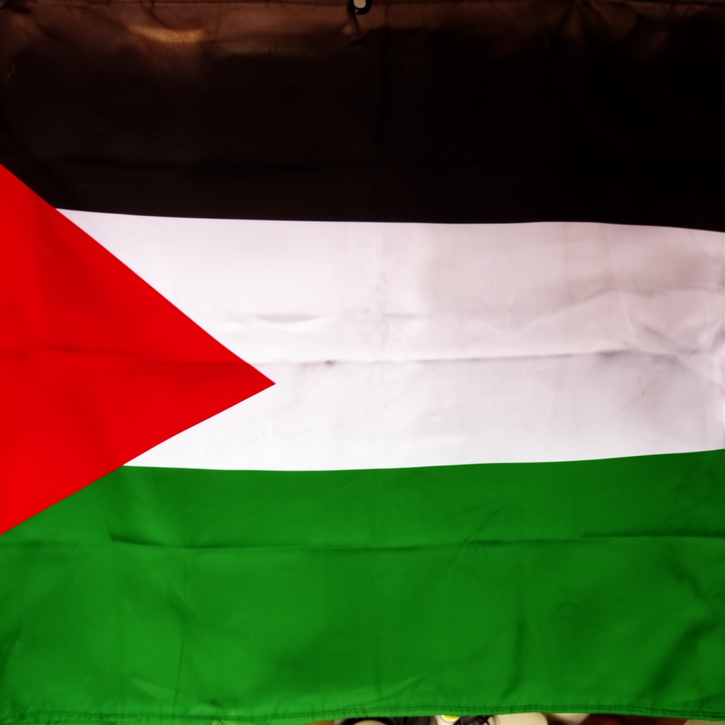 AI-generated illustration of Flag of Palestine