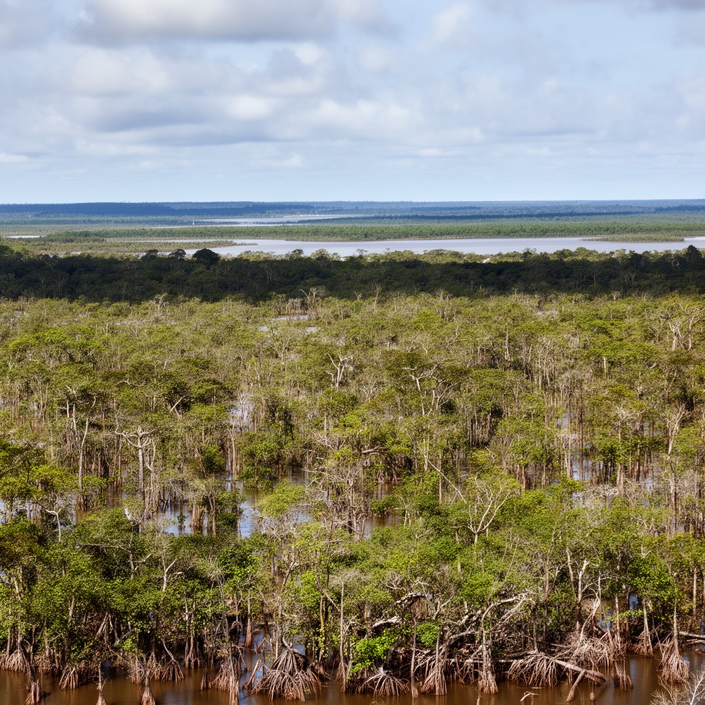 AI-generated illustration of Orinoco Delta