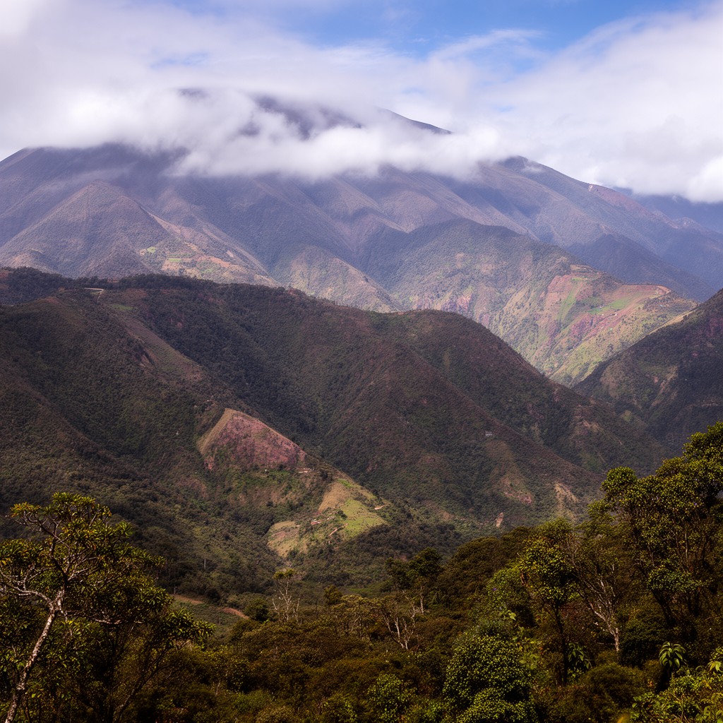 AI-generated illustration of Northern Andes in Ecuador