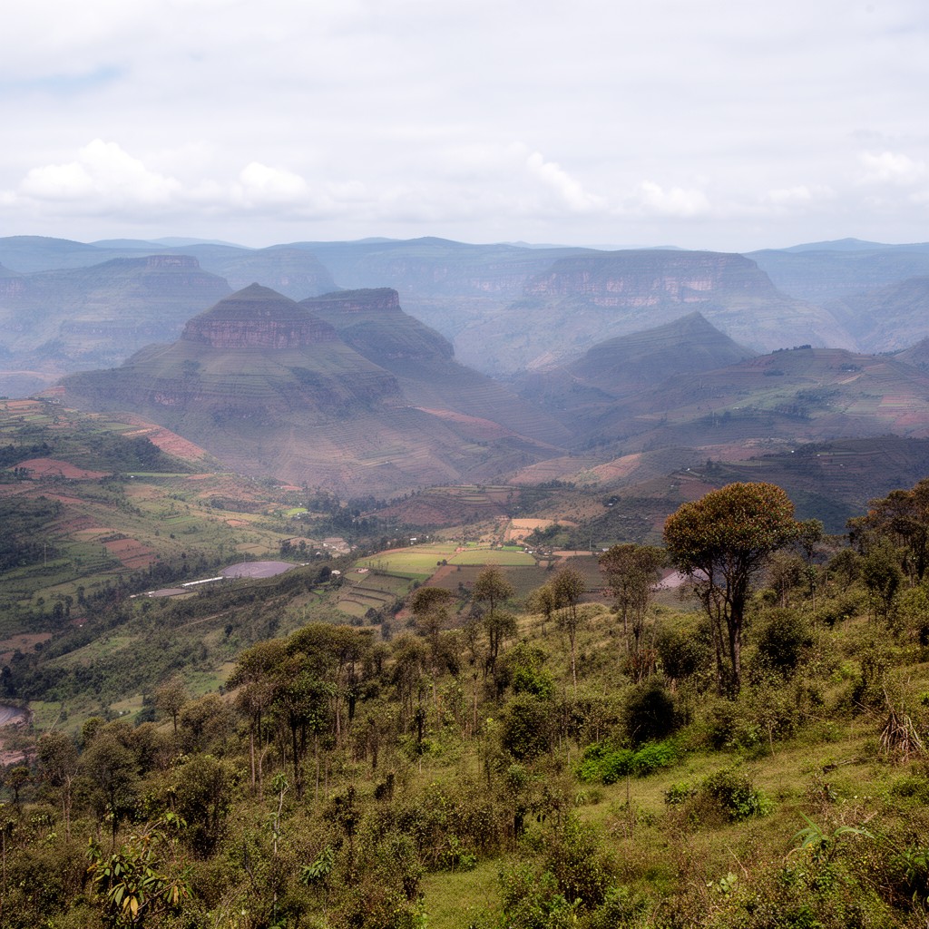 AI-generated illustration of Ethiopian Highlands