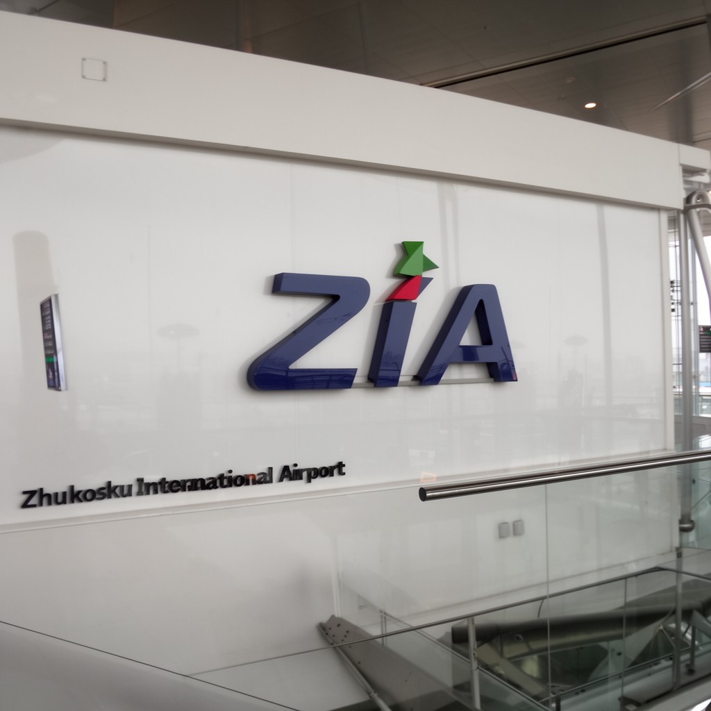 AI-generated illustration of ZIA