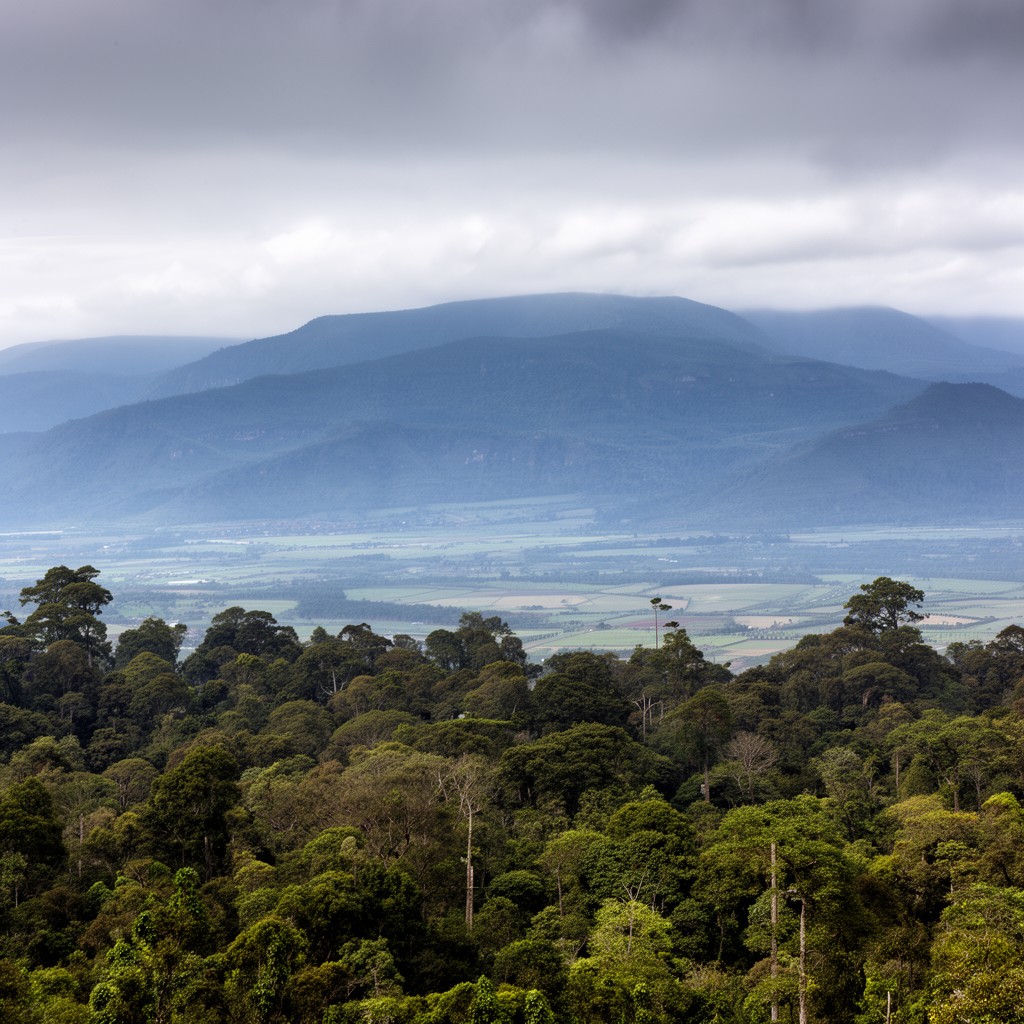 AI-generated illustration of Bvumba Mountains