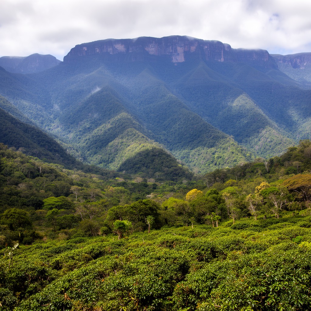 AI-generated illustration of Blue Mountains (southern slopes)