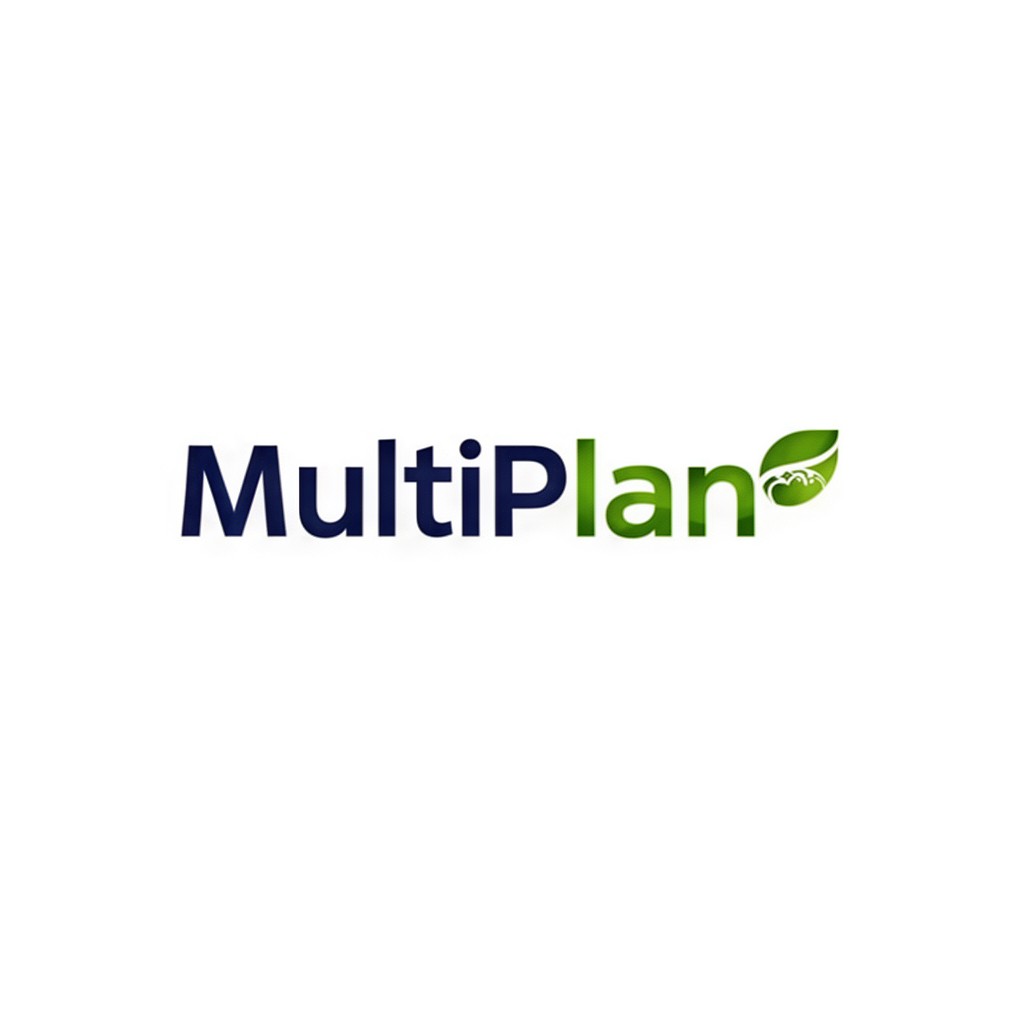 AI-generated illustration of MultiPlan