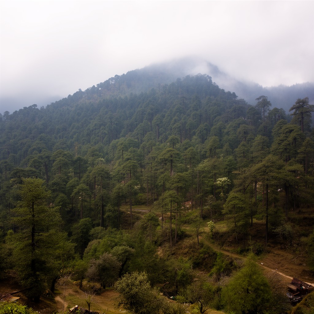 AI-generated illustration of Simbalbara National Park