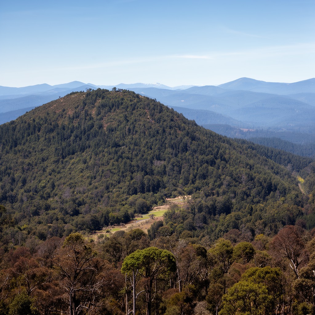 AI-generated illustration of Cerro Ñielol Natural Monument