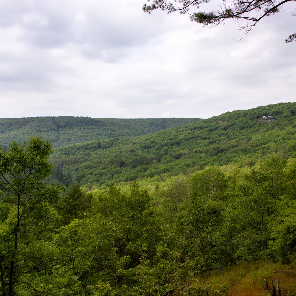 AI-generated illustration of October Mountain State Forest
