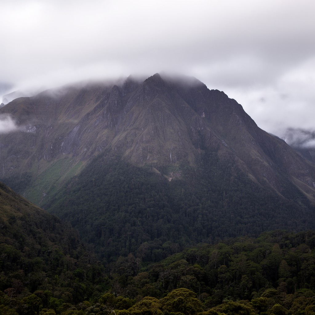 AI-generated illustration of Tararua Range