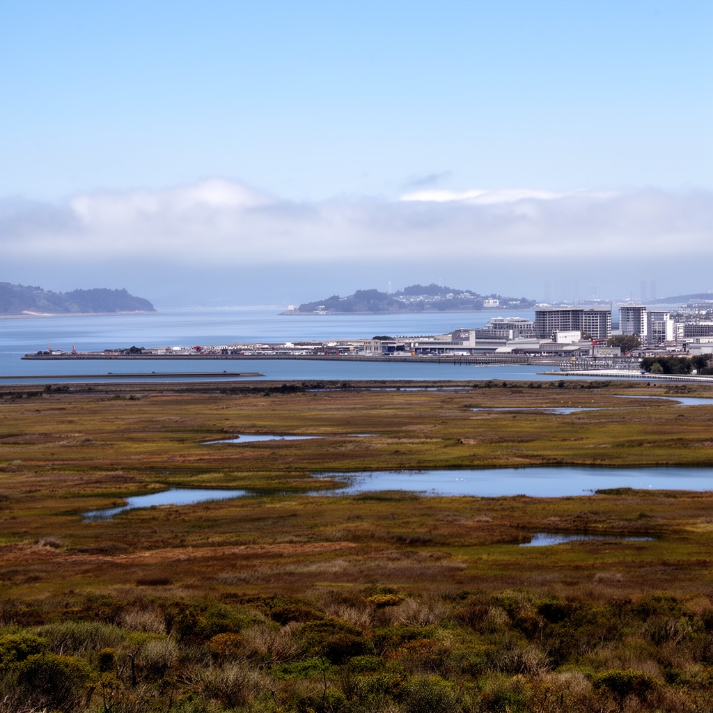 AI-generated illustration of Point Pinole Regional Shoreline