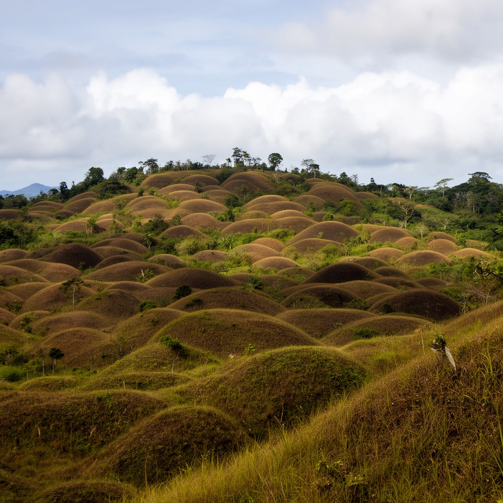 AI-generated illustration of Chocolate Hills